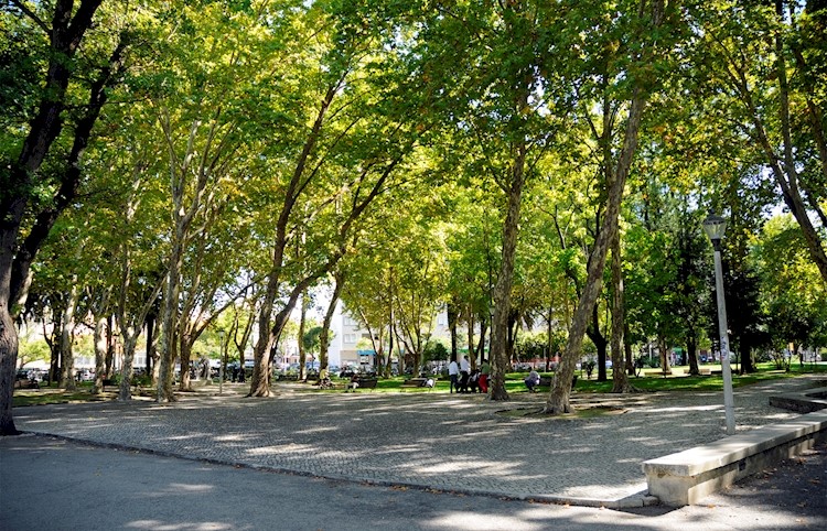 Bonfim Park